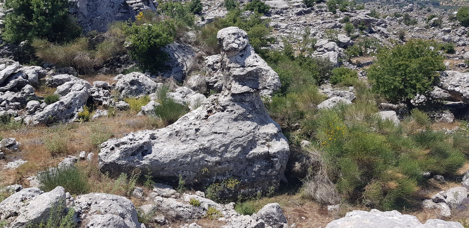 El Qaleh Geosite — photo 7